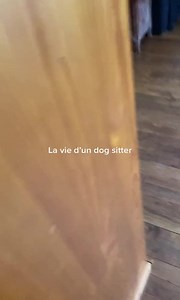 265K views · 6.4K reactions | Jour 2 avec le maxi boudin #weee, #wee, #funny, #fails, #fail, #memes, #viral, #best, #againstbullying, #dog, #animals, #jump, #cat, #reels, #compilation, #slip, #weeememes, #meme, #instagram, #water, #yeet, #fly, #slide, #laugh, #broke, #pool, #bike, #scream, #bowling, #nuts | Tibod_ | Facebook