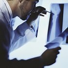 What Are the Major Bones in the Human Body?