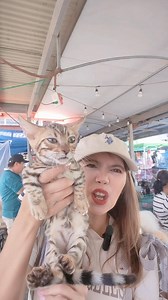 21K views · 233 reactions | GENETTA! Wild Leopard like looks! Apaka cute naman 殺❤️ #cat #catlovers #munchkin #petcare #pet | TITA A's Vlog | Facebook