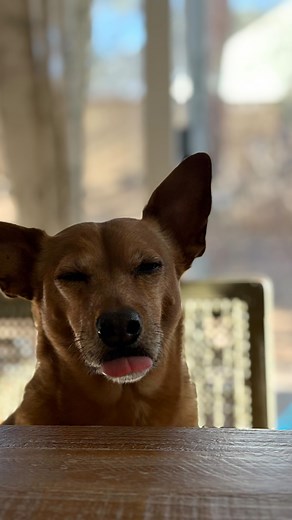 20K views · 7.8K reactions | Such a fun lil project! Super beginner friendly too! I recreated the tic tac toe board from Pinterest images I saved. The craft section at the thrift should not be overlooked. . . . . #airdryclay #thriftedfinds #diycrafts #sustainable #upcycling | Consciously curated home and staging | Facebook