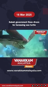 2.7K views · 55 reactions | Sabah government fines divers for harassing sea turtle #latest #vanakkammalaysia #Sabahgovernment #fines #divers #harassing #seaturtle #trendingnewsmalaysia #malaysiatamilnews #fyp #vmnews #foryoupage | Vanakkam Malaysia | Facebook