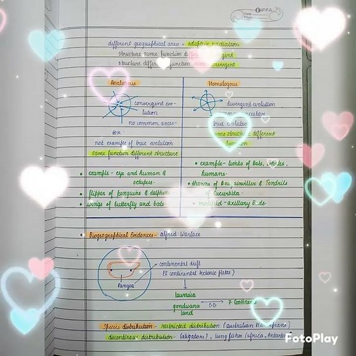 full notes of chapter evolution class 12 biology NEET💛