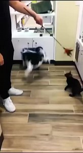 Backflip gone wrong 😑😂 | The Bono