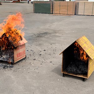 [Hot Item] 12mm Eco-Friendly Fireproof OSB Board for Safe Construction