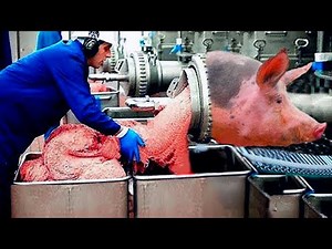 You’ll Never Eat This Again Knowing How Its Made