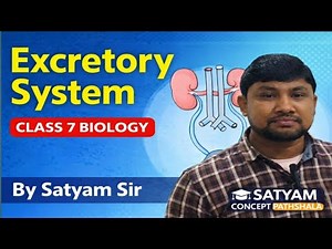Excretory system in Humans|Class 7th biology|Parts of Excretory system