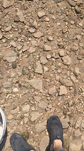 2K views | I found a perfect shell fossil!! #fossiling #fossils #fossil | Stephen "The Fear" Banaszak | Facebook