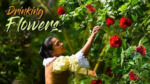 Delicious replacement for the afternoon tea, all you need is a Hibiscus flower tree | Traditional Me | Traditional Me