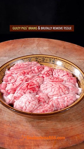 How to cook pig’s brain like a pro? #recipe #cooking #chinesefood #pork #brain #meat #tofu | foodiechina888