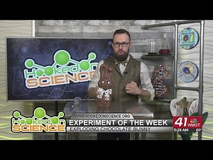 Hooked on Science: Exploding Chocolate Bunny