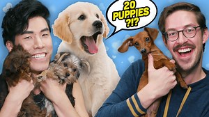 193K views · 4.7K reactions | The Try Holiday season isn't over yet! We're back with another bonus trivia video and to make your Monday brighter we brought tons of puppies! Does extreme trivia get any cuter than this?! | The Try Guys | Facebook