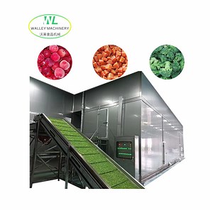 [Hot Item] 4000kg Stainless Steel Quick Freezer IQF Machine for Berries and Fruits