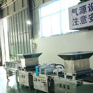 [Hot Item] Seed Sowing Machine for Melon Lemon Rose Morning Glory Marigold Seeds