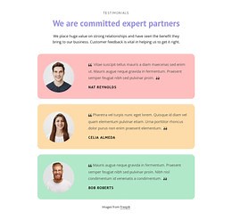 Great testimonials - HTML Template by Nicepage