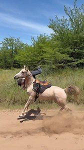 98K views · 527 reactions | With a request from one of our fans Martu Make sure to follow us @horseloversfails for more fails No hate tolerated!! #horselovers #horsefails #horsefail #horseridingfail #horseridingfails #horses #horseofinstagram #jumping #horsejumping | HorseLovers Fails | Facebook