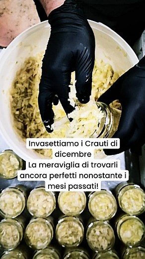3.7K views · 42 reactions | Crauti #camoon della Vallecamonica | I'm in fermentation | Facebook