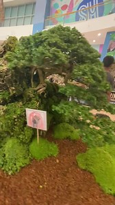 65K views · 2.4K reactions | Miniature forests in the palm of your hand. ️ #bonsai #nature #trees | Japan Bonsai | Facebook