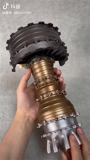 🗿 | Encyclopedia of Science