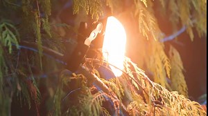 Aputure MC Pro RGBWW Lensed Mini LED Panel Light for Professionals, Aputure MC Upgrade Version