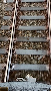 1K views · 14 reactions | Front window view BMT Standards  Other...