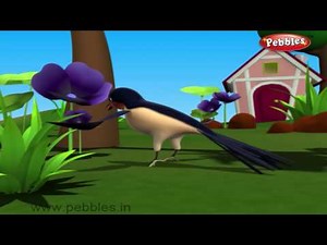 Swallow Bird Nursery Rhyme | Bird Rhymes | Nursery Rhymes For Kids | Nursery Rhymes 3D Animation