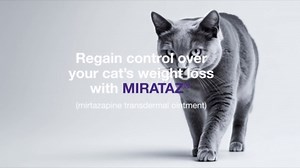 Mirataz (mirtazapine transdermal Ointment) for Cats, 5-g Tube