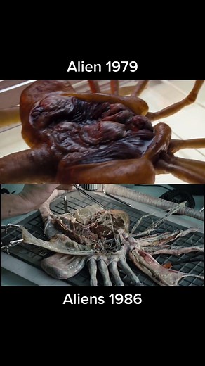 Ash vs Bishop Synthetics: Facehugger Encounter