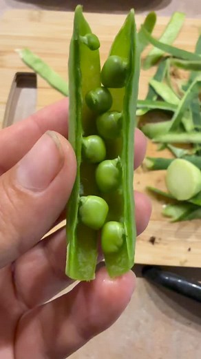 The garden is exploding! I thought the heat would knock the peas out, but they are holding on a bit longer. The garlic has suffered a bit from all of the spring moisture, but we’ll see how the rest progresses. Cucumbers are rolling in, flowers are blooming everywhere, and the green beans are starting to make an appearance! | Ten Acre Farm, LLC