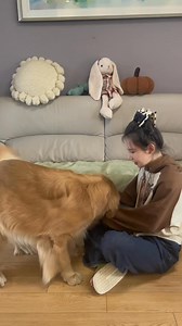 43K views · 2.5K reactions | when facing an angry woman Dog Funny Videos | Dog Funny Videos | Facebook