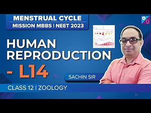 Menstrual Cycle Class 12 Biology - Human Reproduction Concepts (L14) | NEET 2023 Biology Exam