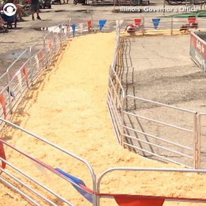 7.1K views · 70 reactions | PIG RACING: At the Illinois State Fair on Monday, pigs took to the race track for Swifty Swine Pig Racing. The pigs made it out of the gate and around the track, but a couple got distracted. | CBS News Texas | Facebook