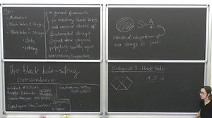 Andrea Puhm Advanced General Relativity - Lecture VI (no audio)