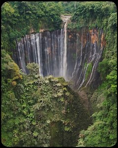 First Class & More on Reels