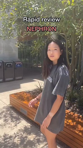 Yvonne Jiang on Instagram: "Kidneys are the cutest � #mcat #mcatprep #renal #studytips #biology"