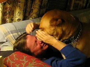 Pitbull lick attacks Michelle