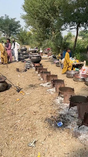 which wedding is best? | Jahanzaib Rasheed