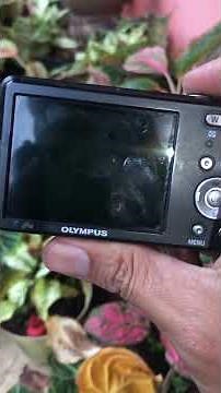 Olympus VG-110