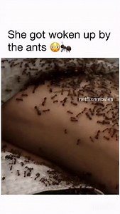 memes and movies account on Instagram: "This scene gives me chill  outlander: Claire Beauchamp Randall, a nurse in World War II, mysteriously goes back in time to Scotland in 1743. There, she meets a dashing Highland warrior and gets drawn into an epic rebellion.  watch on: prime video #explorepage #explorepost #funnymemes #memes #memestagram #memesdaily #wholesome #wholesomememes #fashion #fashionstyle #jokes #movie #movies #viralmovies"