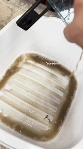 Nothing humbles you more than using our carpet cleaner 👀 | Wayfair