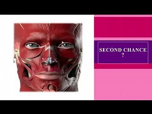 Damon Ultima System/Part2/ The origin and philosophy of Damon System