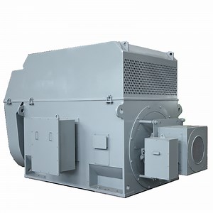 [Hot Item] Large Sized High-Voltage Wound Rotor Induction Motor for Steel Mills 22400kw