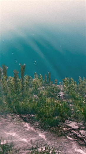 Velenje je turistička destinacija koja zbog jedinstvene kombinacije industrijskog nasleđa, prirodnih lepota i moderne infrastrukture privlači sve veće interesovanje. Grad je poznat po Velenjskom jezeru, koje nudi brojne mogućnosti za rekreaciju, poput plivanja, veslanja na dasci (SUP) i vožnje bicikla po uređenim stazama. Osim toga, Velenjski dvorac, jedan od najbolje očuvanih dvoraca u Sloveniji, privlači ljubitelje istorije i kulture. Pored prirodnih i kulturnih znamenitosti, grad nudi i brojn