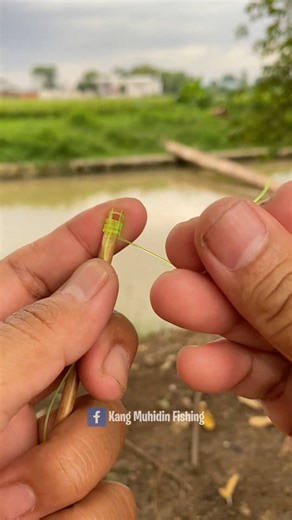 Uni Knot Using Bamboo The Secret Of Fiherman Strong Smooth Fishing Knot for Braid to Mono or Fluorocarbon Leader #fishing #fisherman #fypシ゚ #fyp #fishingknot #fishingknots #tutorial #fishingline #fishingdaily #fishtank #fish #fishing | Kang Muhidin Fishing