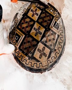 WHAT A DIRTY CARPET !!🤯 Satisfying ASMR Carpet Cleaning #rug #carpet #satisfying #rugcleaning #carpetwashing #carpetcleaning #carpetpython | Awesome Carpet