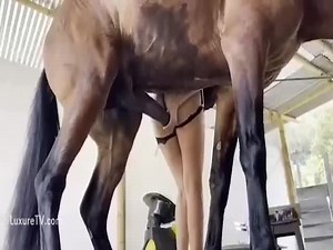 Horse fucks skinny slut