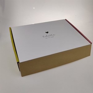 [Hot Item] Daily Surprise Custom Cardboard Flip Food Case Pizza Box