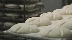 Process Making Bread Bakery After Proofing: Video có sẵn (100% miễn phí bản quyền) 3600707107 | Shutterstock