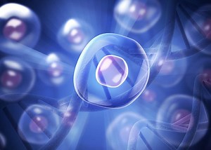 Filling the Tank - Restoring Cellular Energy (Part 1)