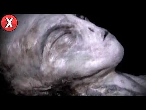 9 ALIENS DA VIDA REAL Capturados em Câmera