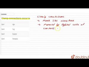 Clamp connections occur is